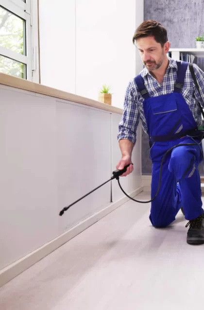 1710765155131-pest-control-cost-property-factor