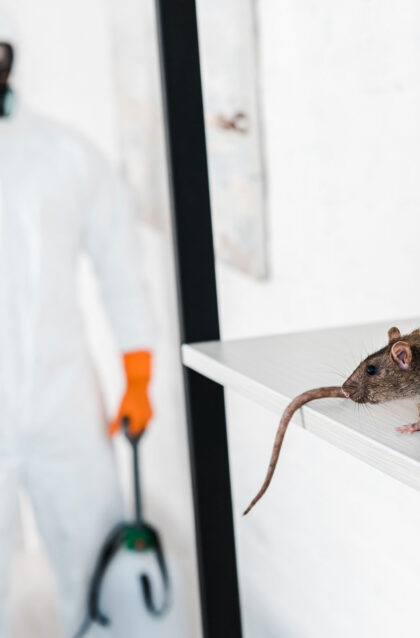 Rodent Control