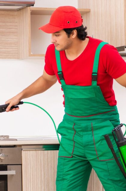 anti-termite-treatment-in-udaipur35074947