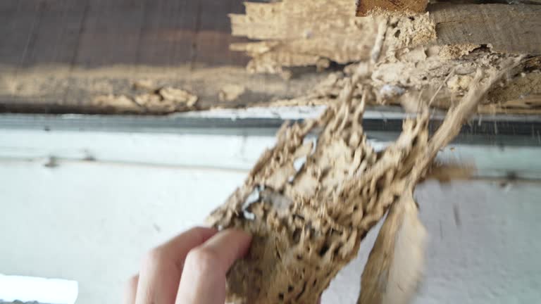 Eliminate termites and protect your property with Krupa Pest Control’s expert termite treatment services. Pre- and post-construction solutions with long-term warranties.