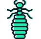 termites termites